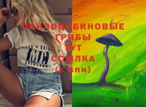 mdpv Горнозаводск