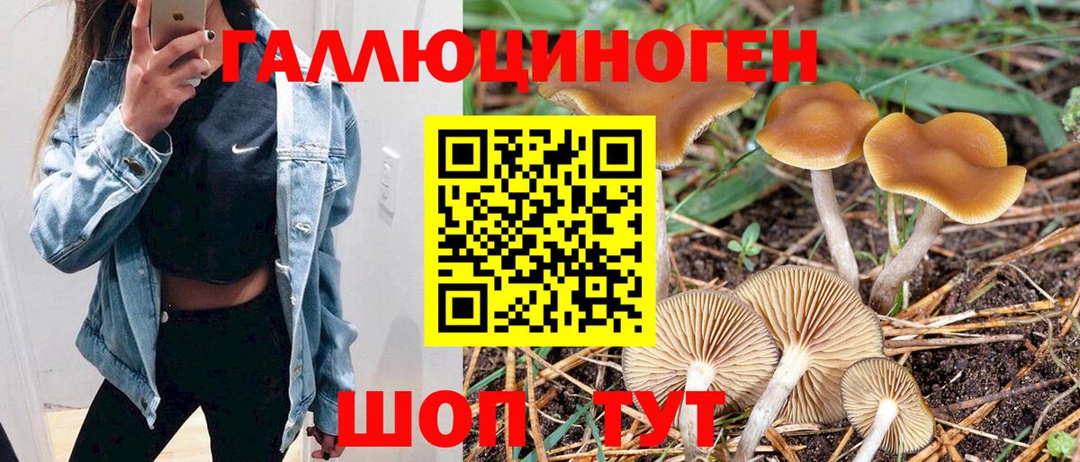 Псилоцибиновые грибы Psilocybe Наро-Фоминск