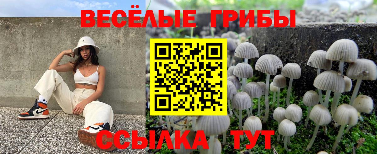 Галлюциногенные грибы мицелий Наро-Фоминск
