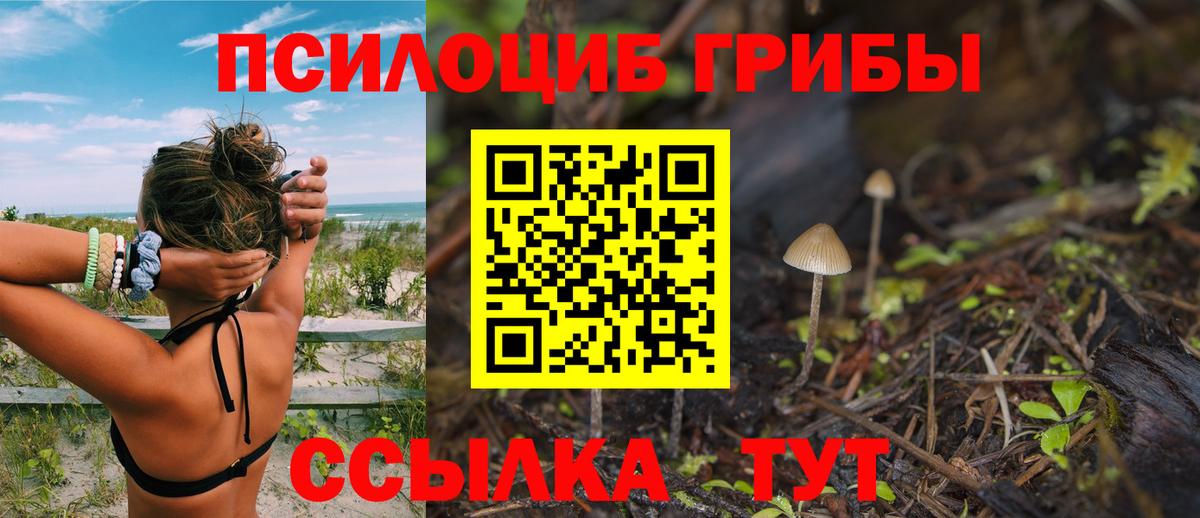 Наро-Фоминск  Галлюциногенные грибы Magic Shrooms  Псилоцибиновые грибы мухоморы  Вход с VPN 